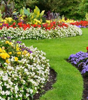 m3m capital walk  amenities